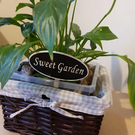 Apartamento Sweet Garden Riga